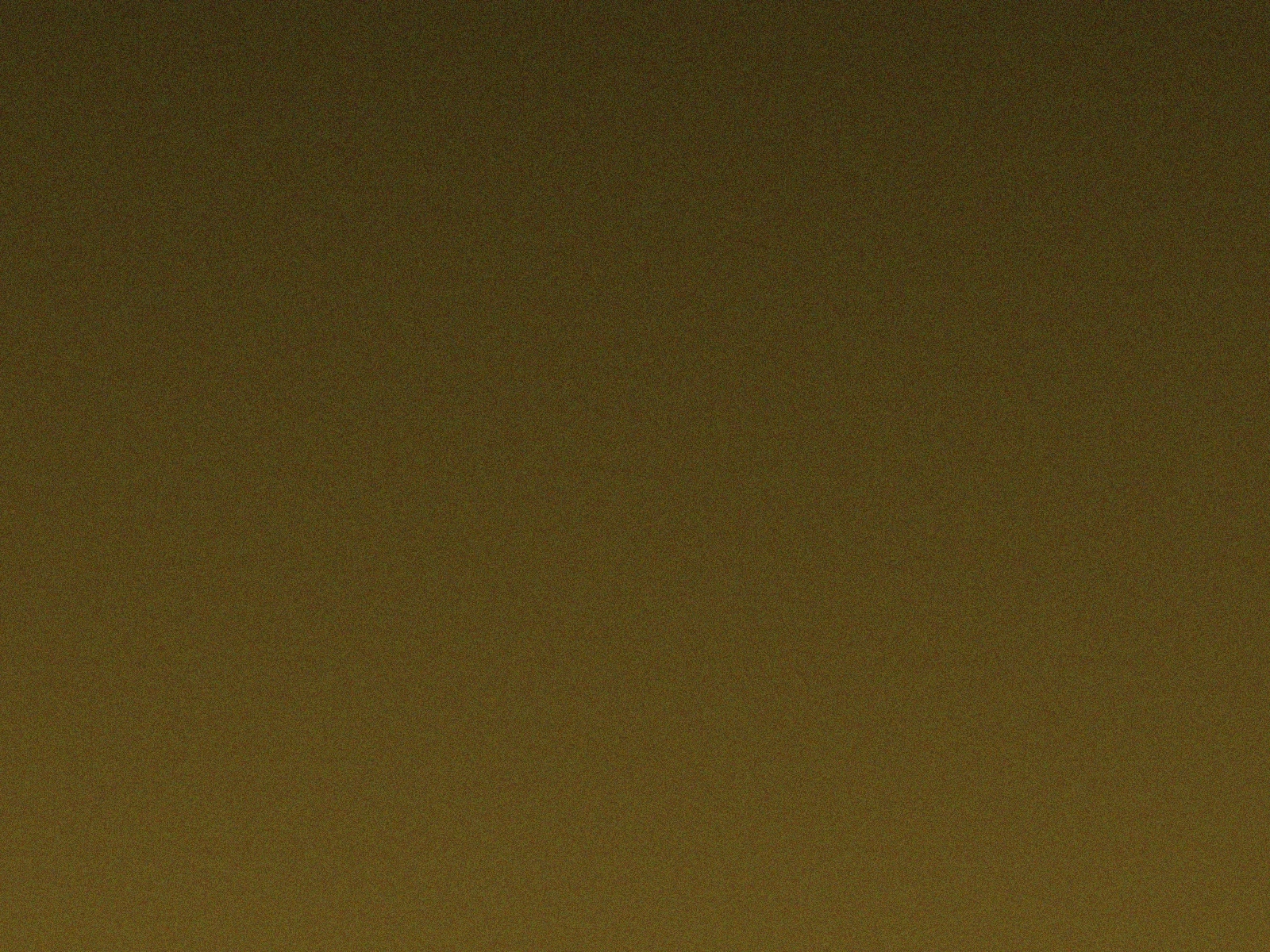 Book of Dead老虎机游戏截图